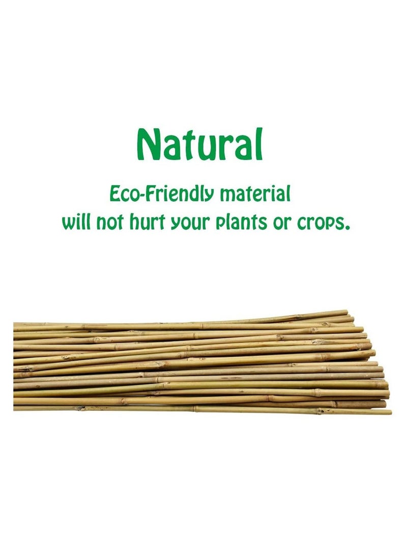 10 pcs Natural Thick Bamboo Stake Beige