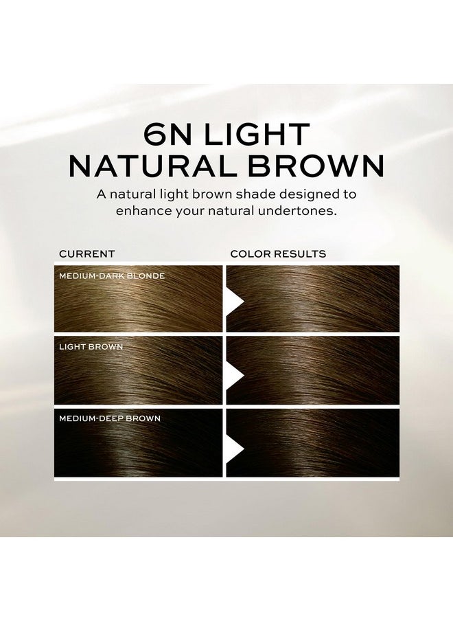 Precision Foam Hair Color, Light Natural Brown 6N, Full-Coverage Hair Color Kit, With Thick Foam For Deep Color Saturation (Pack Of 2)