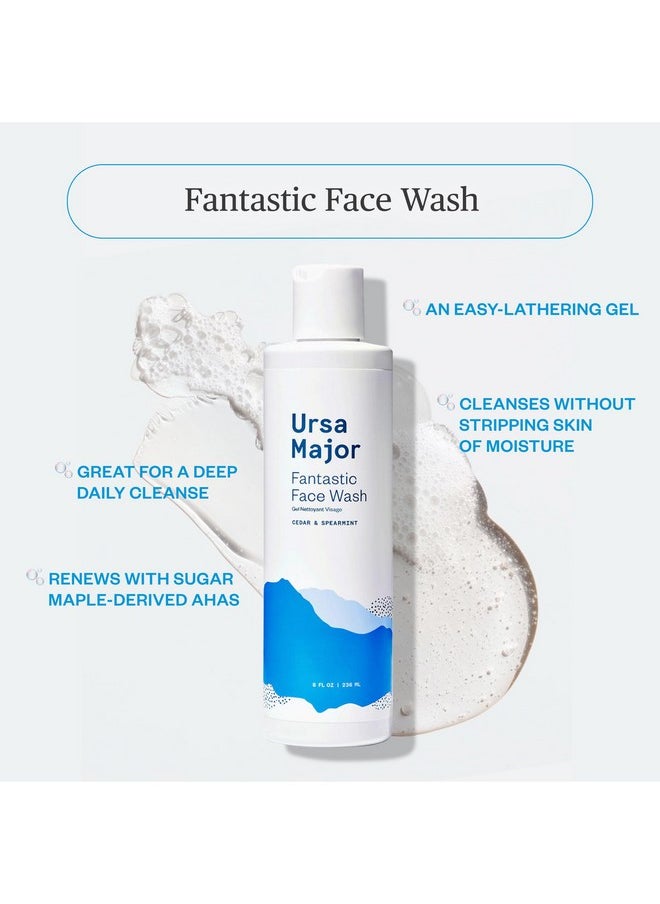 Fantastic Face Wash | Natural, Vegan & Cruelty Free | Daily Foaming Facial Cleanser For Men & Women | 8 Ounces