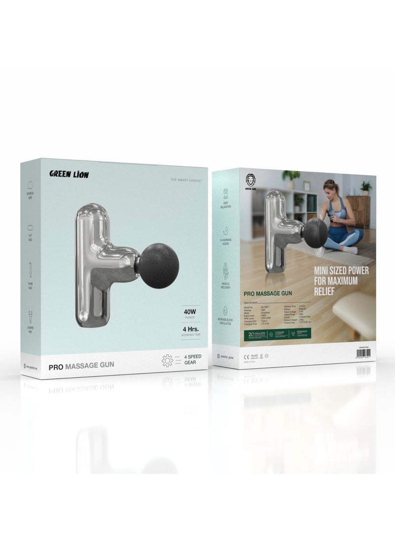 Pro 40W Massage Handle / 4 Speed Gear / 2200-4000 RPM Range / 4 Hours Working / Muscle Recovery / Increase Blood Circulation / Conical Head / Spherical Head / Clawed Head / Flat Head - Silver