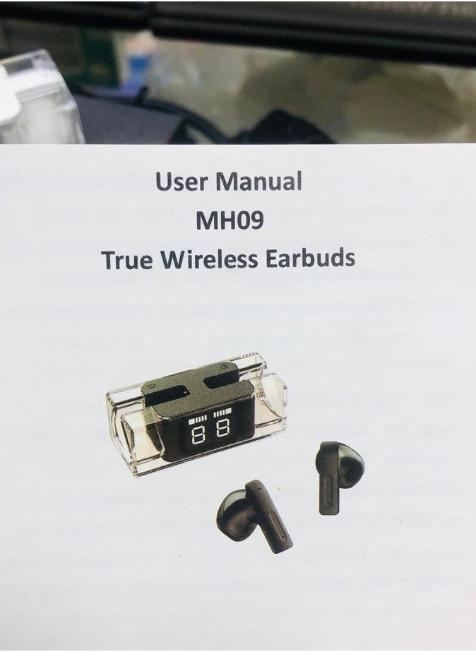 True Wirelees Earbuds