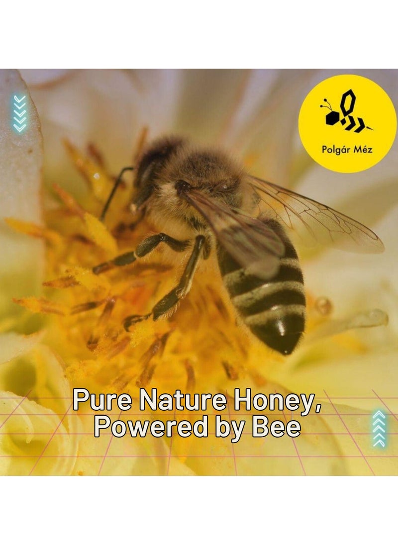 Future Honey - Acacia Honey 100% Pure – 15g Sachet | Sourced Directly from Hungarian Beekeepers