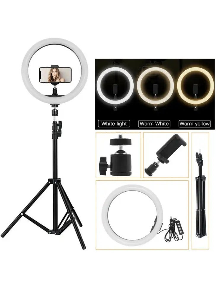 12 inch LED Ring Light With Tripod Stand And Phone Holder Black