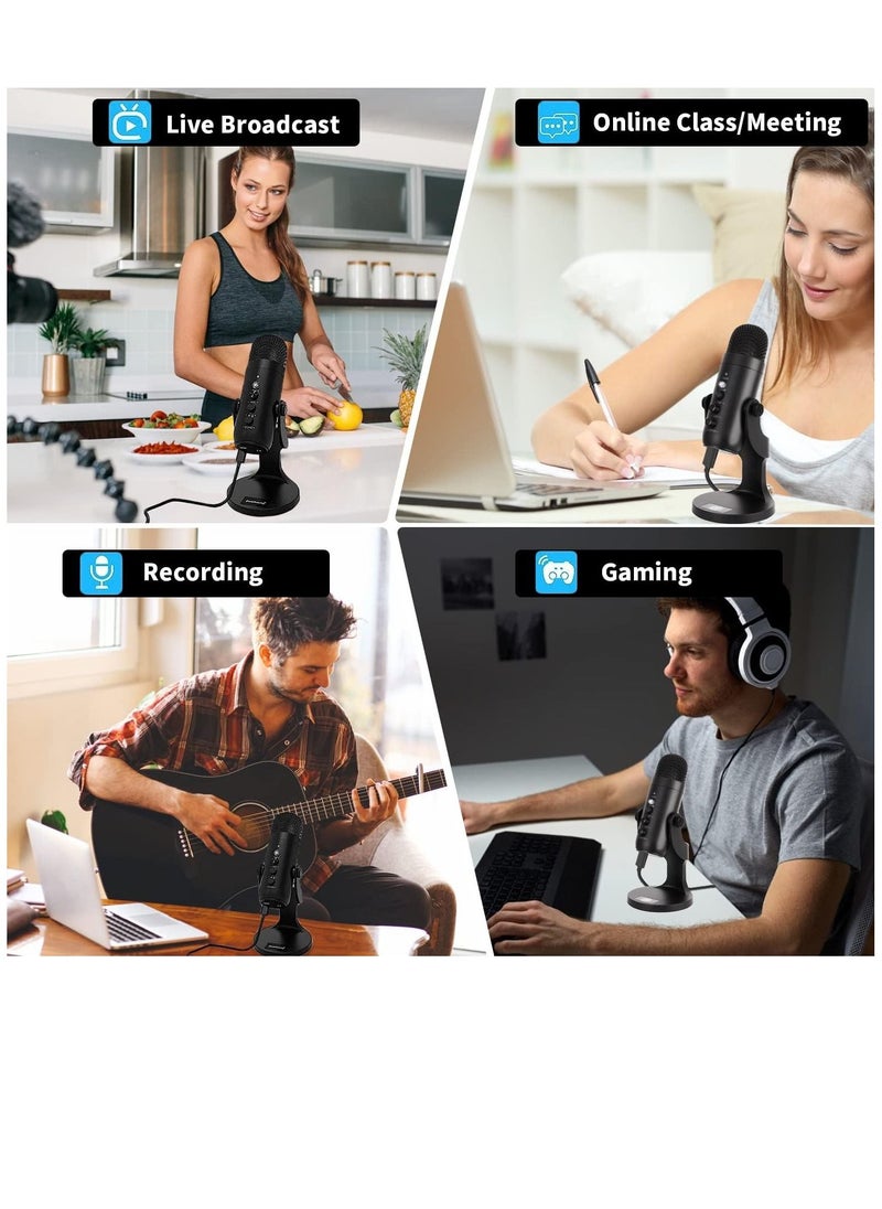 PW8 Professional Metal Voice Recording Usb Condenser Studio And Podcast Recording Gaming Microphones