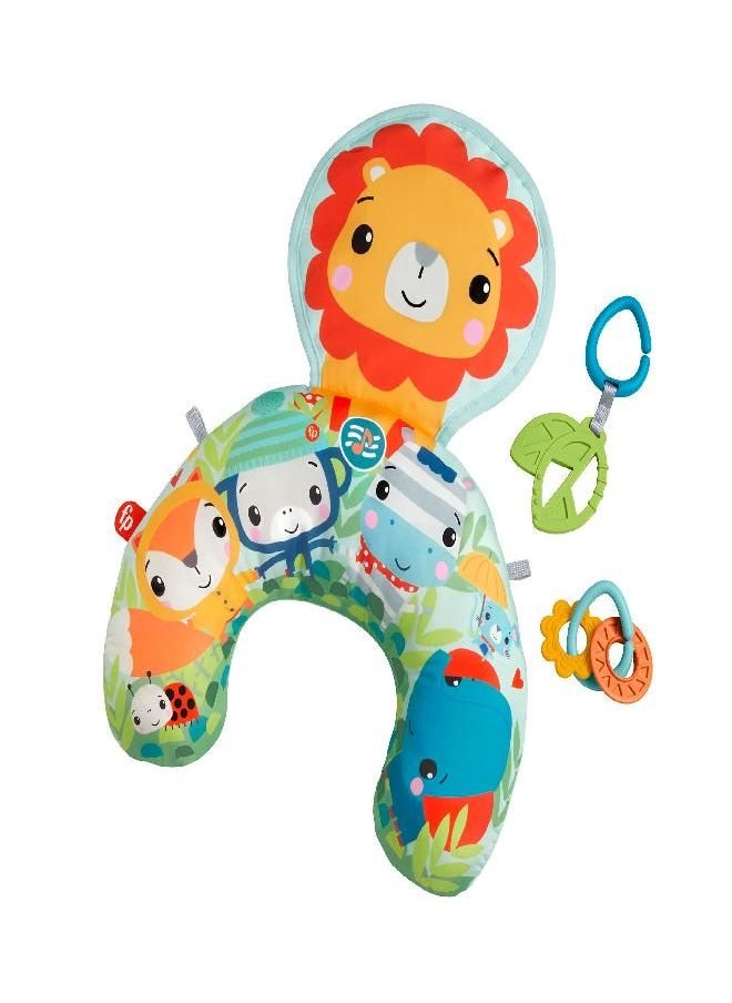 Fisher-Price 0887961951660 GWY91-Music & Vibe Lion Tummy Wedge, Mixed