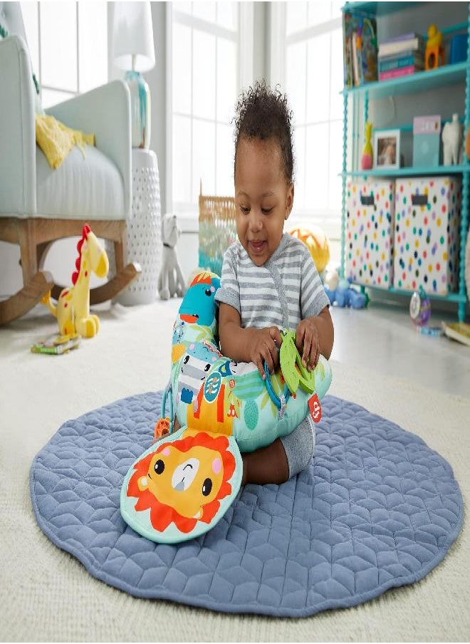 Fisher-Price 0887961951660 GWY91-Music & Vibe Lion Tummy Wedge, Mixed