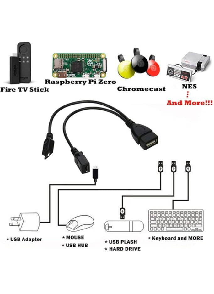 2-in-1 Micro USB to USB Adapter (OTG Cable + Power Cable) for FireStick, PlayStation Classic and More - 2 Pack