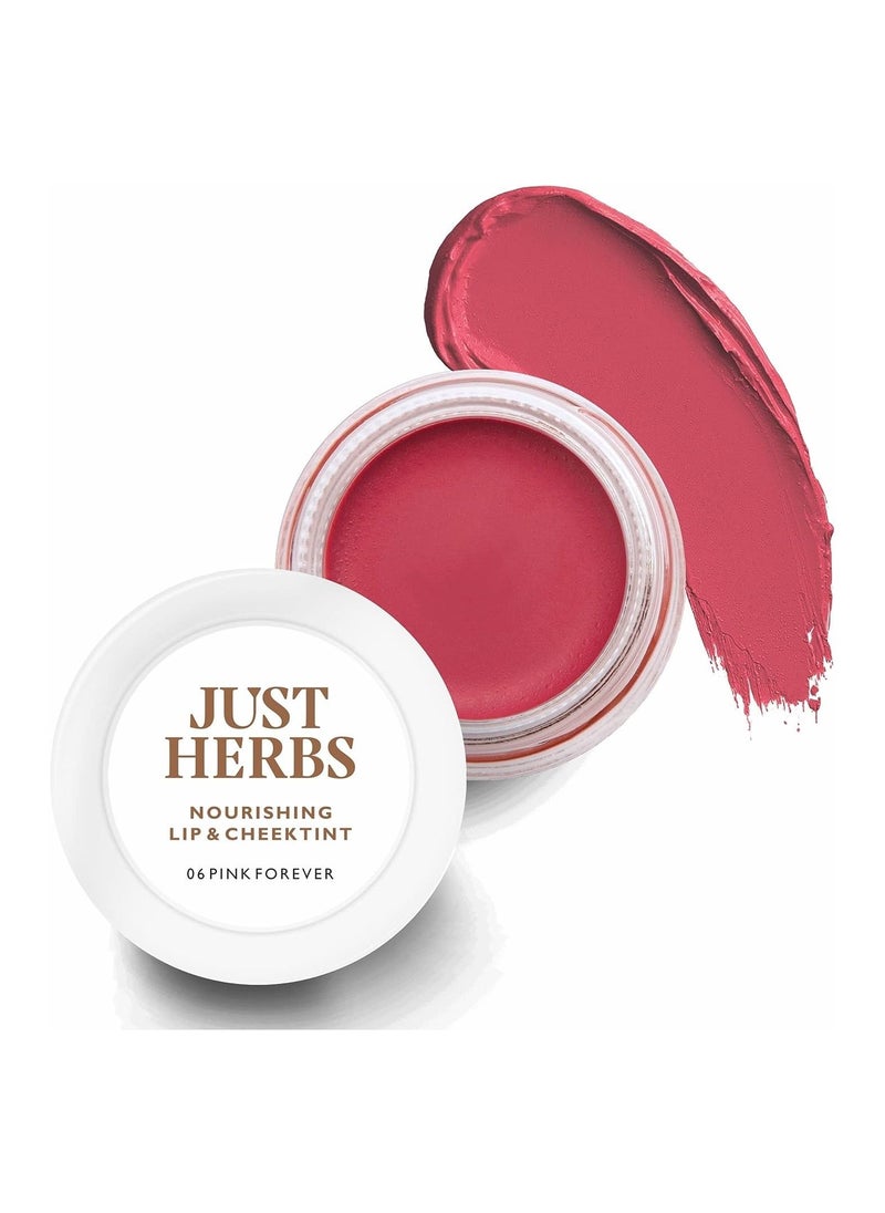 Just Herbs Ayurvedic Natural Lip and Cheek Tint Blush Creamy Matte