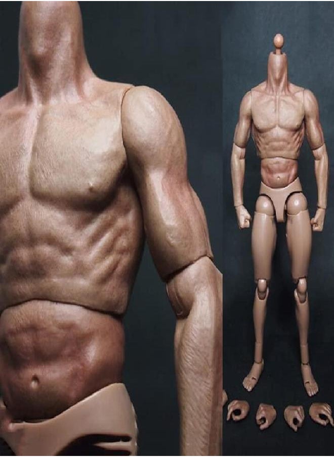 12'' Muscular Body,Male Flexible Action Figure Body Doll for 1:6 Scale Head Sculpt Carved