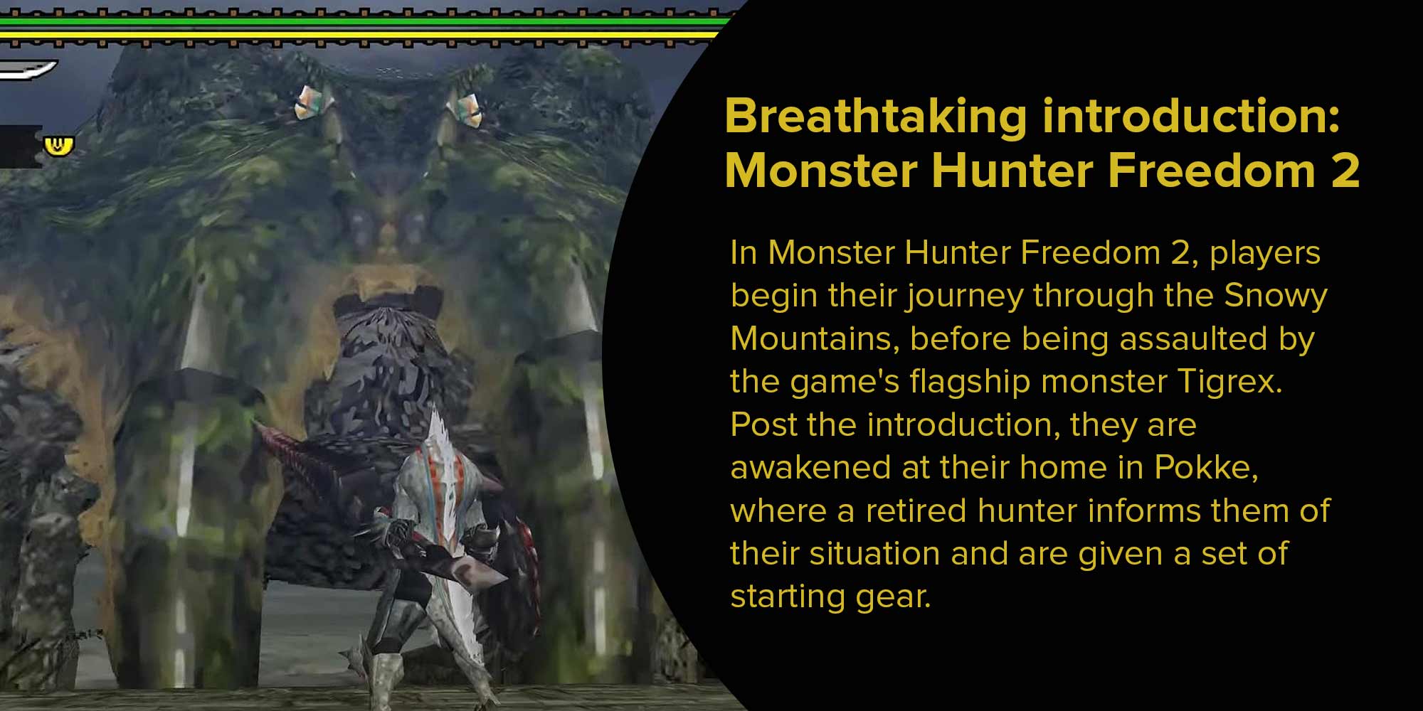 Dual Pack Monster Hunter Freedom (Intl Version) - Adventure - PlayStation Portable (PSP)