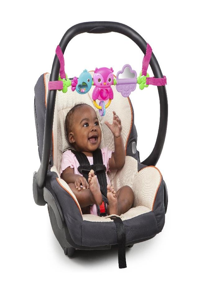 Bright Starts Busy Birdies Carrier Toy Bar Musical Take-Along Toy with Lights, Ages Newborn +, Pink