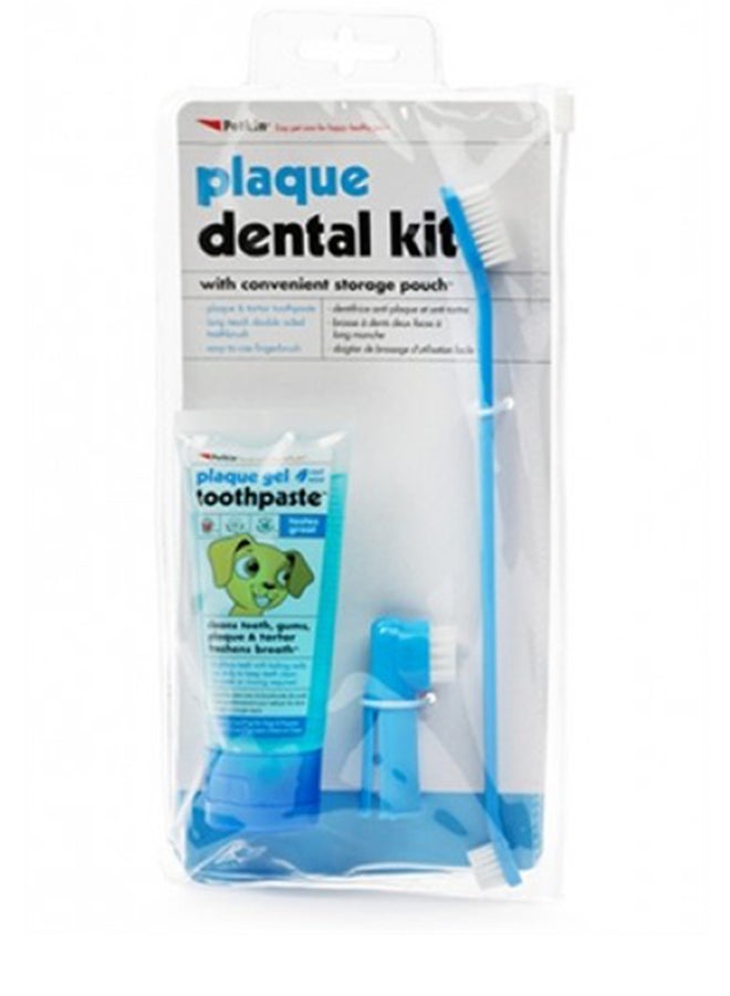 Plaque Dental Kit - Mint