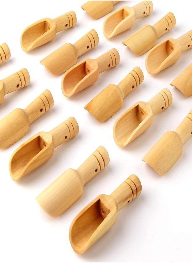 8pcs Mini Wooden Spoons，Mini Bamboo Spoons for Bath Salts, tea scoop, Washing Powder spoon，wooden candy spoon…