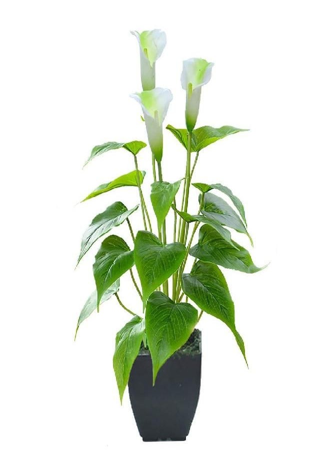 Artificial Flower Calla Lily Faux Small Potted Plant with Black Pot Fake Bonsai Flower for Home, Office, Indoor and Outdoor Occasions Decor (White Fake Flower)