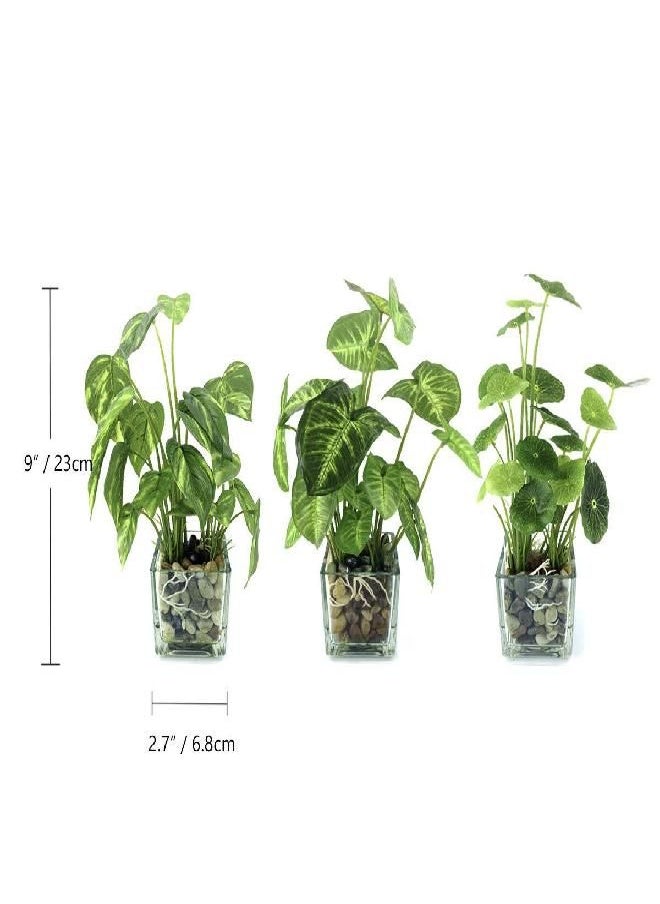 Juvale Mini Artificial Plants in White Pots, Home Decor (5 x 5.2 in, 3 Pack)