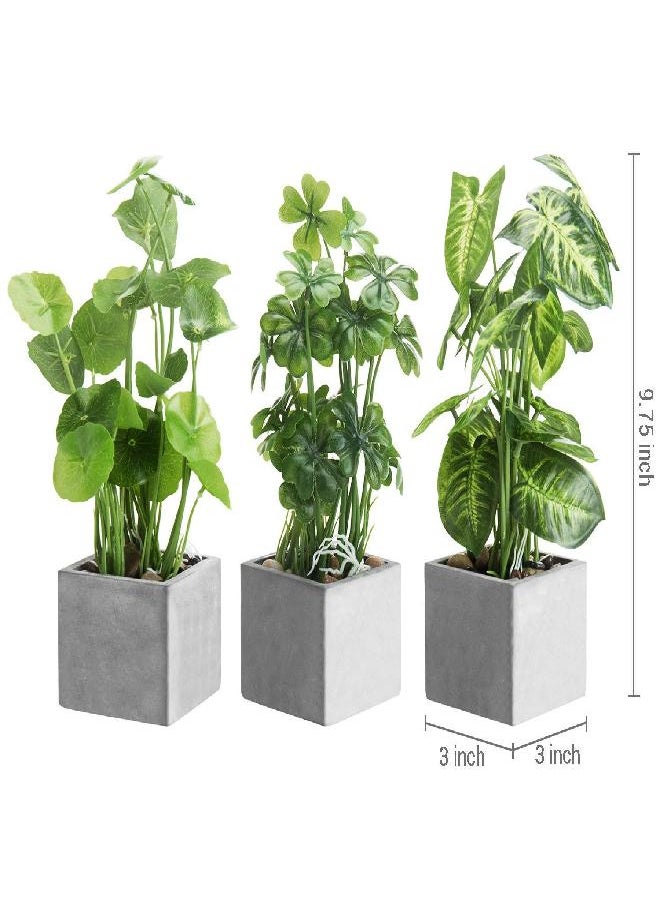 MyGift Artificial Assorted Plants Faux Tabletop Greenery in Gray Cement Square Pots, Set of 3