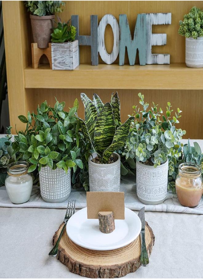 Set of 3 Small Potted Plants Faux Eucalyptus Plants and Tropical Snake Plant in Geometric Gray Pots for Modern Bathroom Office Table Shelf Windowsill Home Indoor Outdoor Green Décor