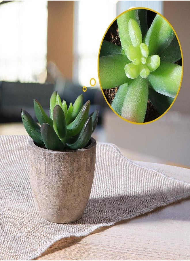 OUNONA 3pcs Faux Succulents/Artificial Cactus/Simulation Cacti Potted Plants Home Bonsai Decor Garden Greenery 1