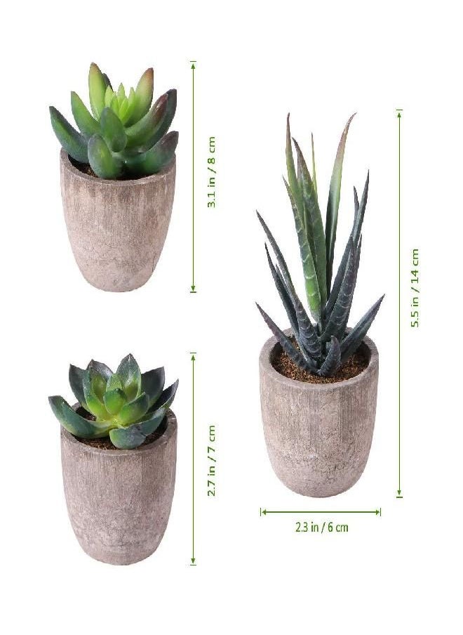 OUNONA 3pcs Faux Succulent Bonsai Cactus Plant Pot Flower Pot Container Plant Bonsai Artificial Simulation Plants with Pots，Perfect Gife Idea Decorative