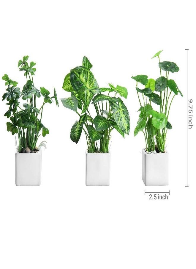 MyGift Artificial Assorted Plants Faux Tabletop Greenery in White Square Ceramic Pots, Set of 3