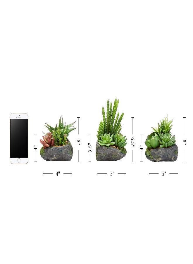 Pure Garden Artificial Succulent Plant Arrangements in Faux Stone Pots, 3 Piece Set in Assorted Sizes, Lifelike Greenery Home Decoration