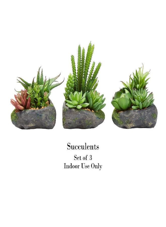 Pure Garden Artificial Succulent Plant Arrangements in Faux Stone Pots, 3 Piece Set in Assorted Sizes, Lifelike Greenery Home Decoration