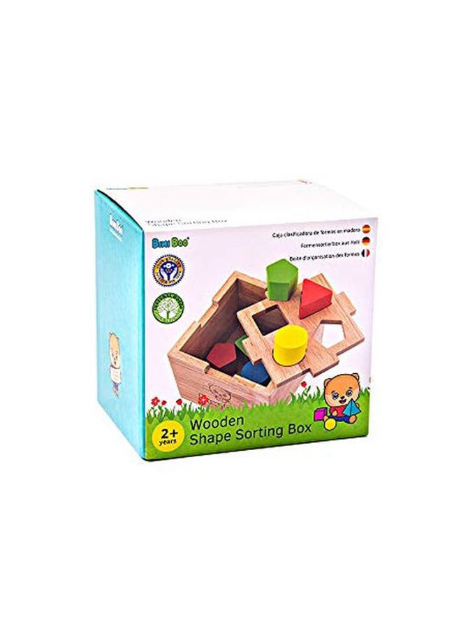 Geometric Sorting Puzzle Toy