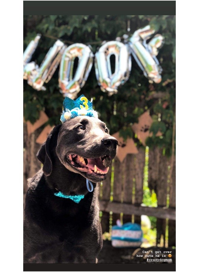 Dog Birthday Party Supplies, Woof Balloons, Woof Balloons Banner For Dog Birthday Party Decorations, Silver