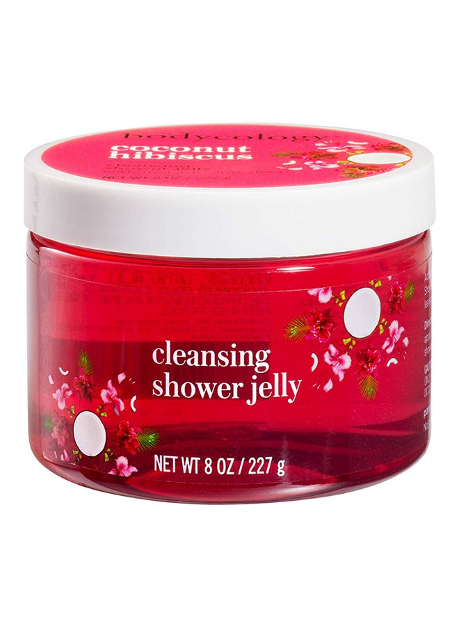 Shower Jelly Gentle Cleanser Coconut Hibiscus 8 Oz