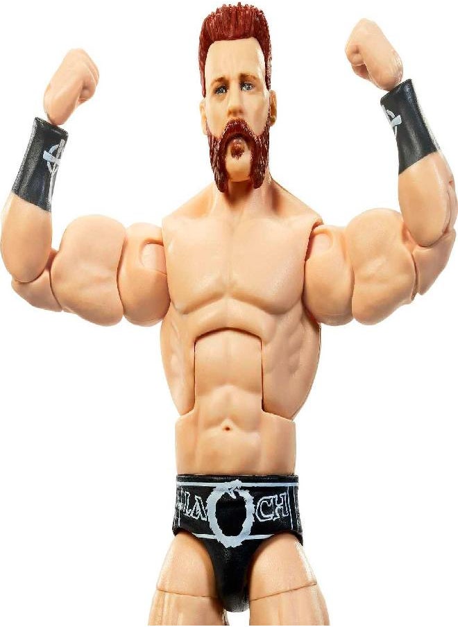 Mattel WWE Sheamus Elite Collection Action Figure, Deluxe Articulation & Life-Like Detail with Iconic Accessories, 6-Inch