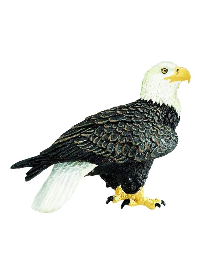 World Bald Eagle