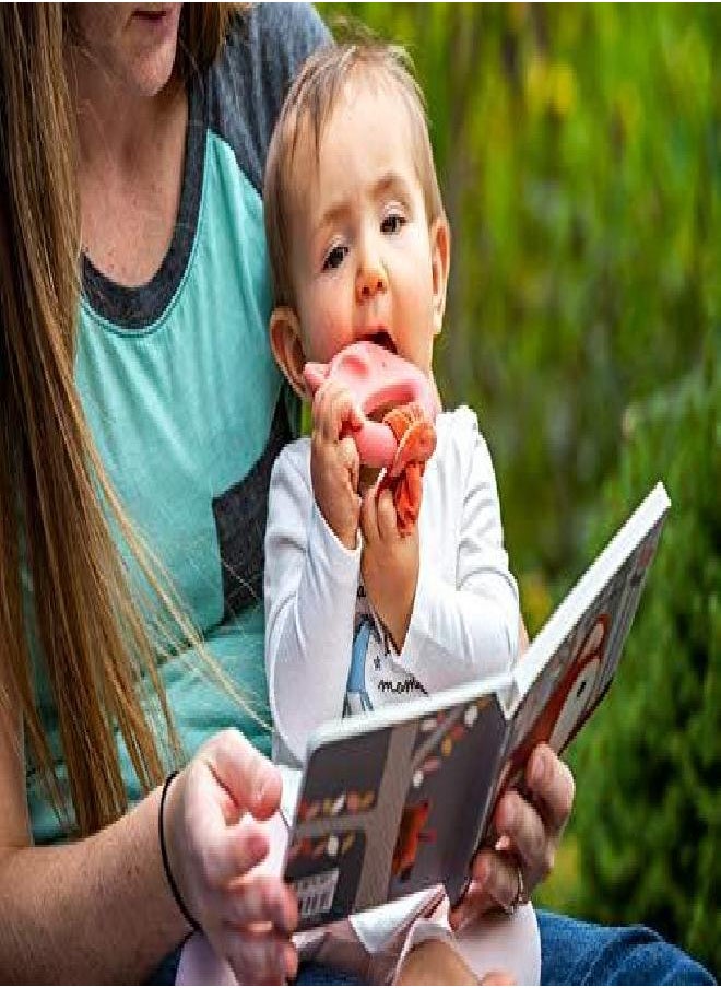 Mary Meyer Leika Silicone Baby Teething Toy, 9-Inches, Little Fox