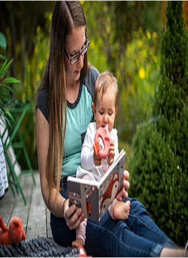 Mary Meyer Leika Silicone Baby Teething Toy, 9-Inches, Little Fox