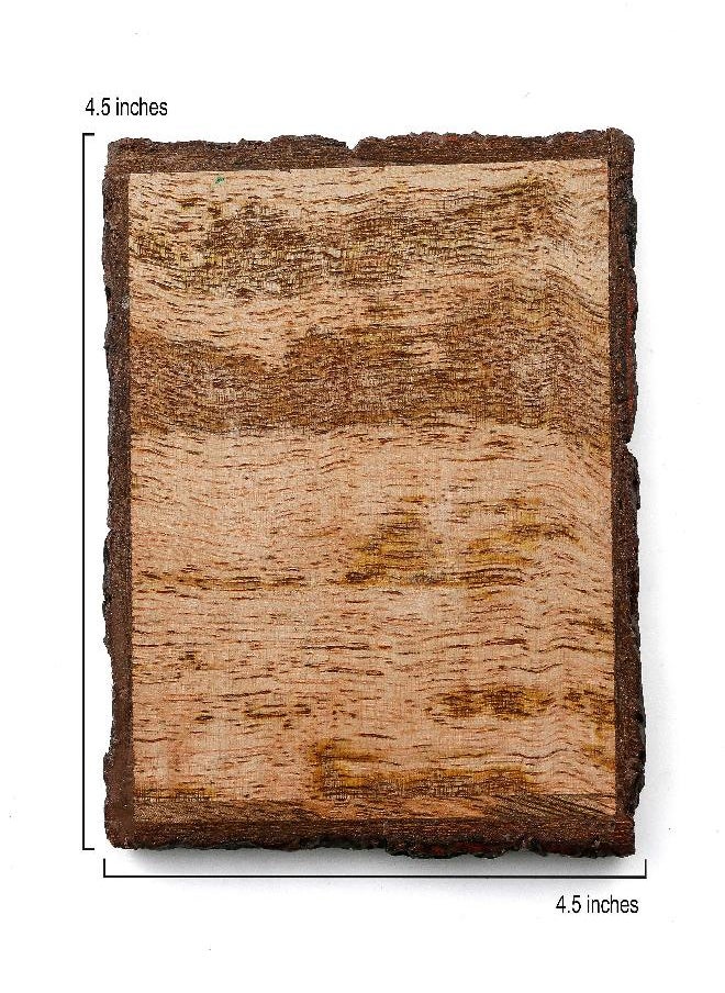 Thirstystone 4-Pack Mango Wood Coasters with Bark Edges 4” Square