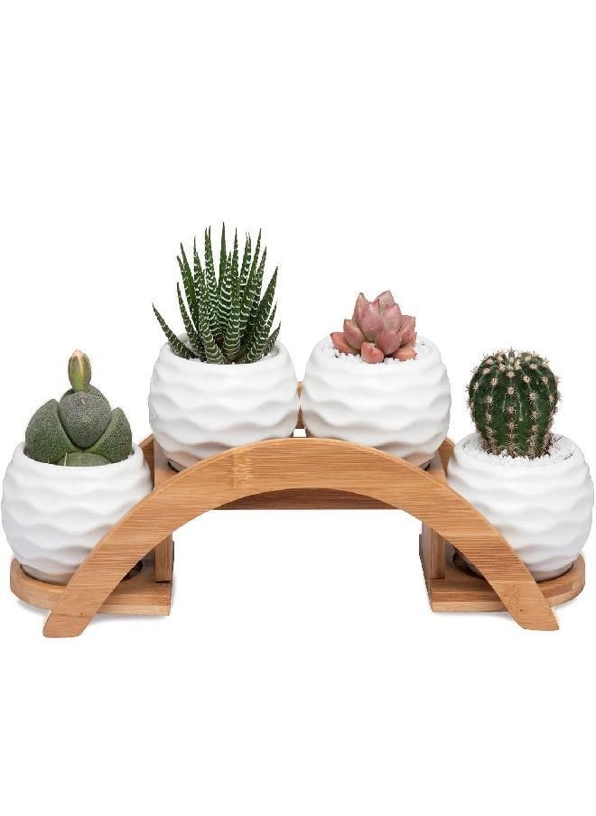 E-liu Succulent Pots and Stand Set, Ceramic White Succulent Planter Pot with Drainage, Pack of 4, Cute Office Garden Indoor Decoration, Plants Not Included