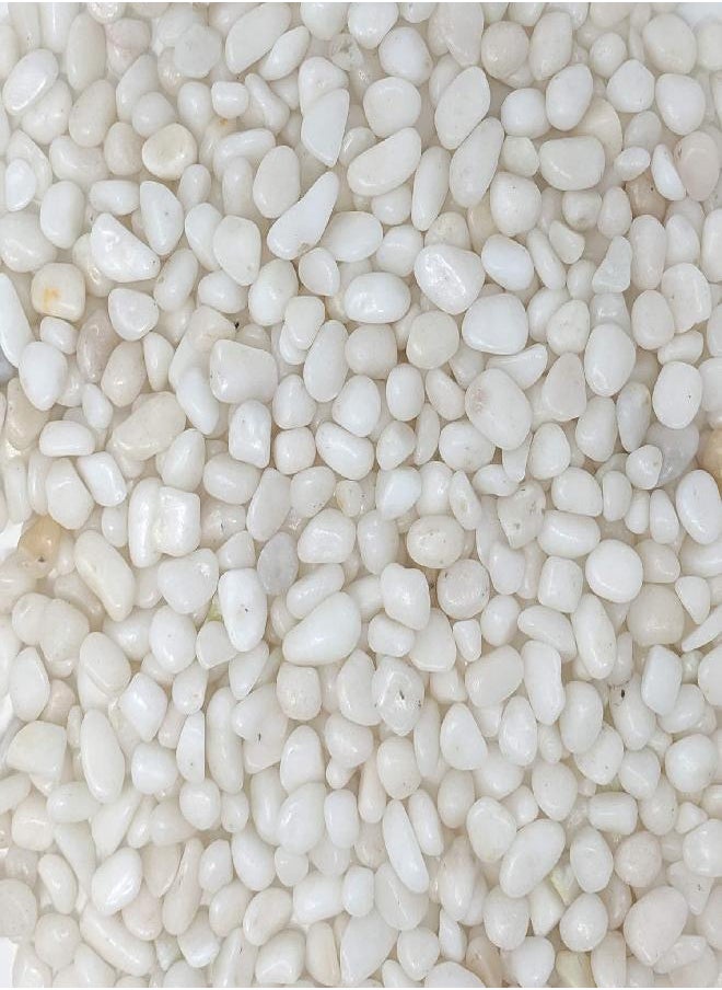 Midwest Hearth Natural Decorative Polished White Pebbles 3/8