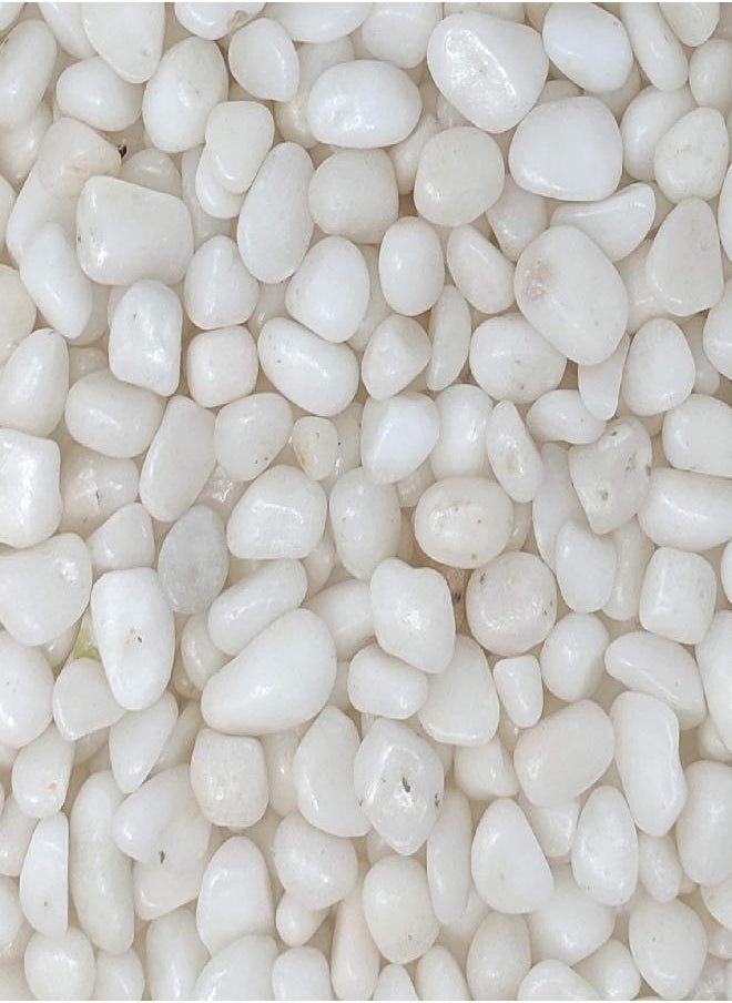 Midwest Hearth Natural Decorative Polished White Pebbles 3/8