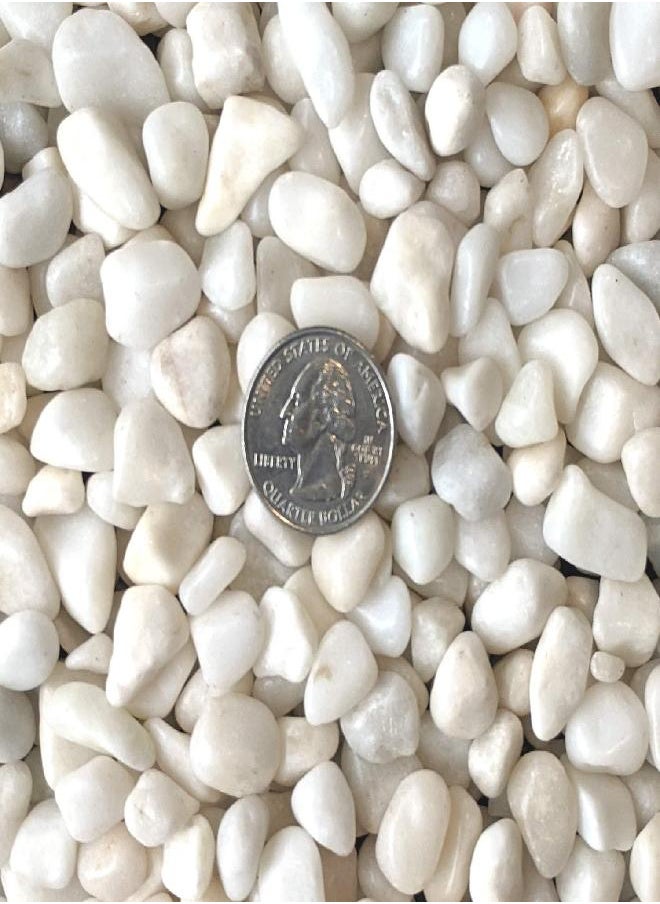 Midwest Hearth Natural Decorative Polished White Pebbles 3/8