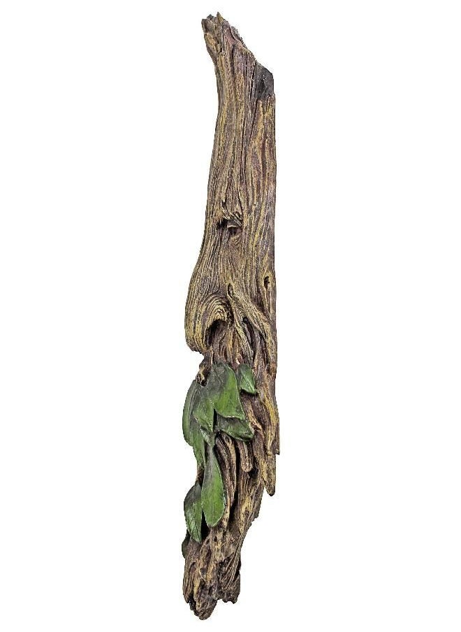 Design Toscano CL6218 Whispering Wilhelm Tree Ent Wall Sculpture, 15 Inch, Multicolored