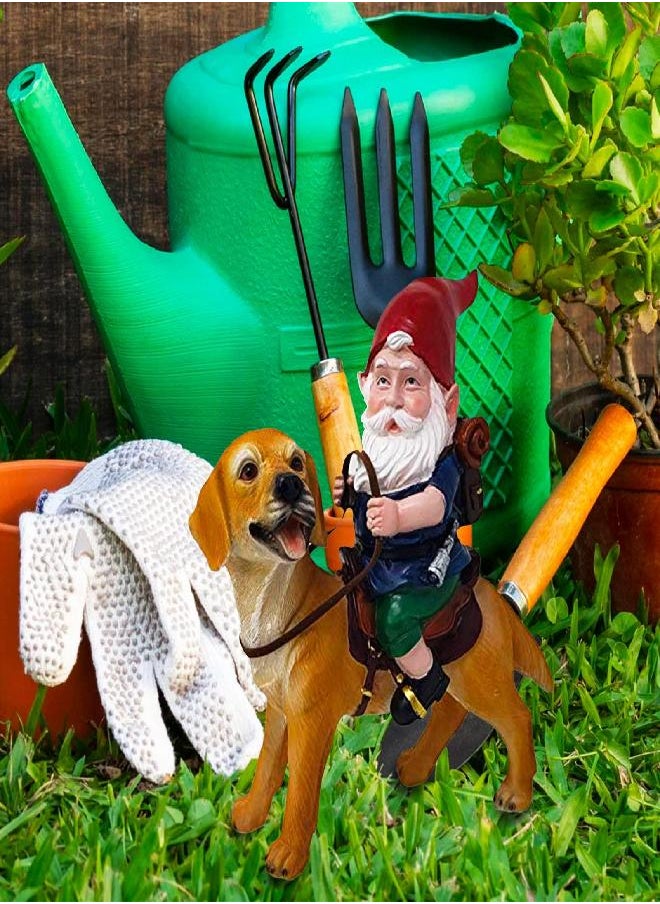 Funny Guy Mugs Gnome and a Yellow Lab Statue- Yellow Labrador Retriever- Indoor/Outdoor Garden Gnome Sculpture for Patio, Yard or Lawn