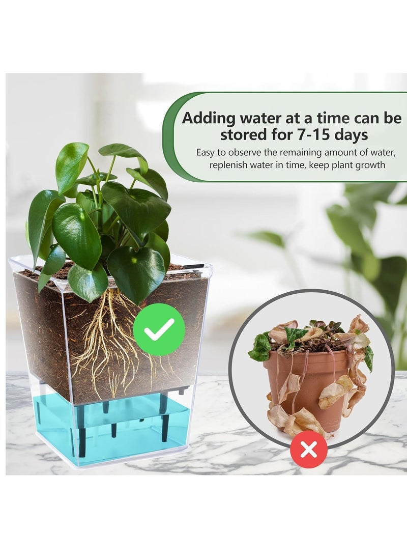 Self Watering Pots Set 3 Packs 5/4.1/2.7 Inch Self Watering Pots for Indoor Plants Clear Planter Pot with Deep Reservoir for Plant