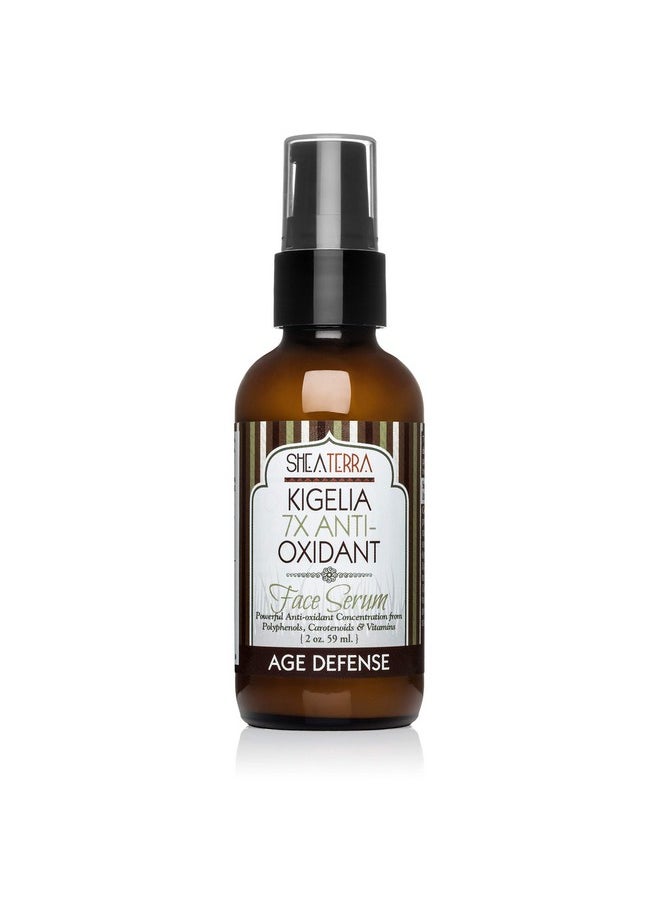 Shea Terra Kigelia Age Defense Collection - Antioxidant Face Serum | Natural Anti-Aging Face Serum With Antioxidants That Moisturize, Renew And Repair Skin - 2Oz