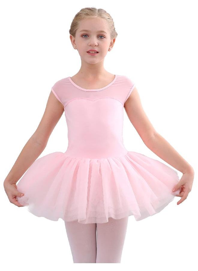 Stelle Girls Ballet Leotards Dance Tutu Skirt Dress Outfit (Toddler/Little Kid/Big Kid) (Ballet Pink (Mesh cap sleeve), 2-3T)