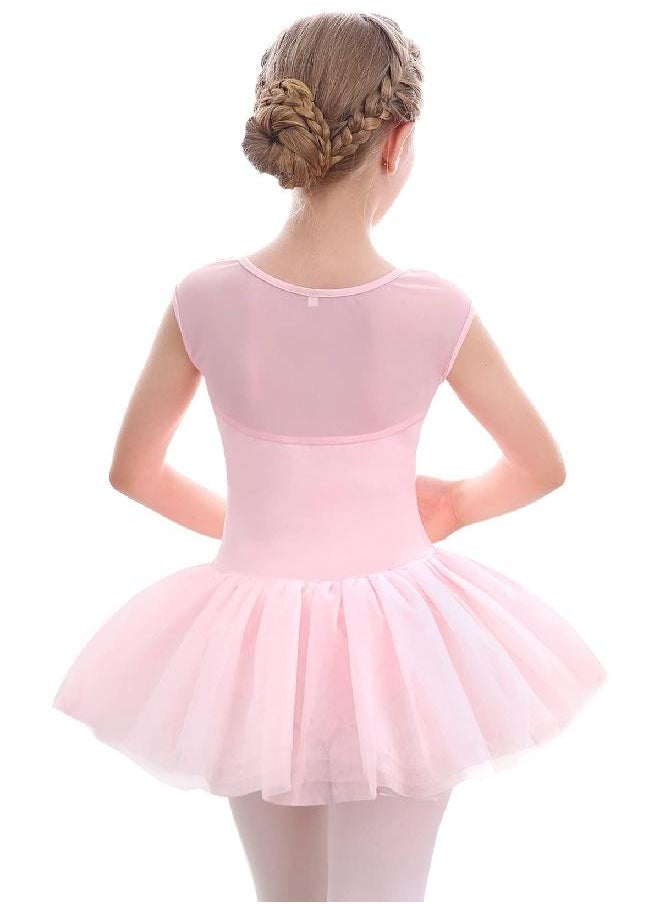 Stelle Girls Ballet Leotards Dance Tutu Skirt Dress Outfit (Toddler/Little Kid/Big Kid) (Ballet Pink (Mesh cap sleeve), 2-3T)