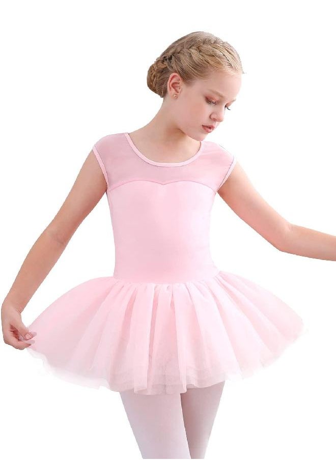 Stelle Girls Ballet Leotards Dance Tutu Skirt Dress Outfit (Toddler/Little Kid/Big Kid) (Ballet Pink (Mesh cap sleeve), 2-3T)