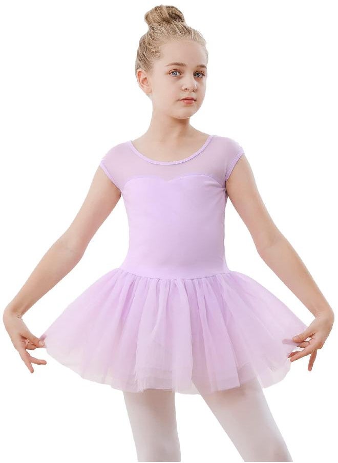 Stelle Girls Ballet Leotards Dance Tutu Skirt Dress Outfit (Toddler/Little Kid/Big Kid) (Purple (Mesh cap sleeve), 2-3T)