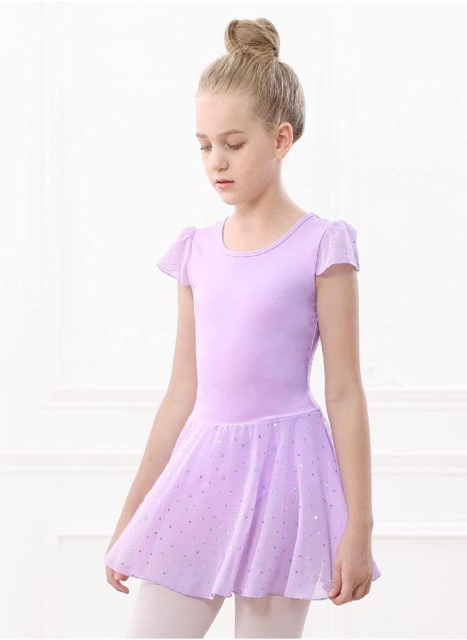 Stelle Girls Ballet Leotards Dance Shiny Dress Skirted Toddler Ballet Outfit (Toddler/Little Girl/Big Girl)(Purple(Shiny skirt), 5T)