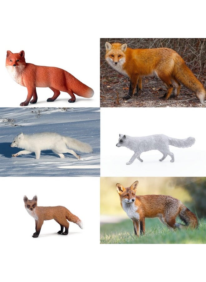 8Pcs Fox Toy Figures Arctic Fox And Red Foxes Figurines Set Fox Family Forest Animals Figures Woodland Animal Figurines Miniature Fox Animals Toys Cake Topper For Woodland Theme Birthday Party