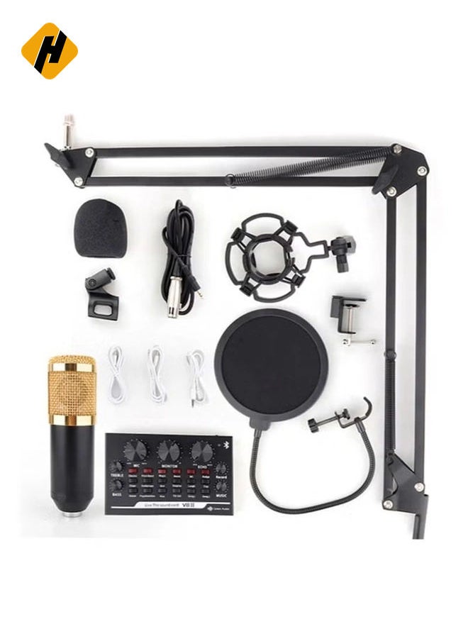 Adjustable Recording Condenser Microphone with Kit V8