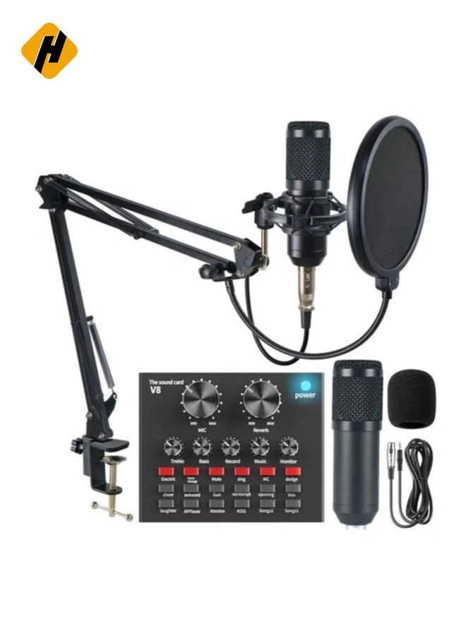 Adjustable Recording Condenser Microphone with Kit V8